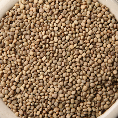 Guar Gum Seeds
