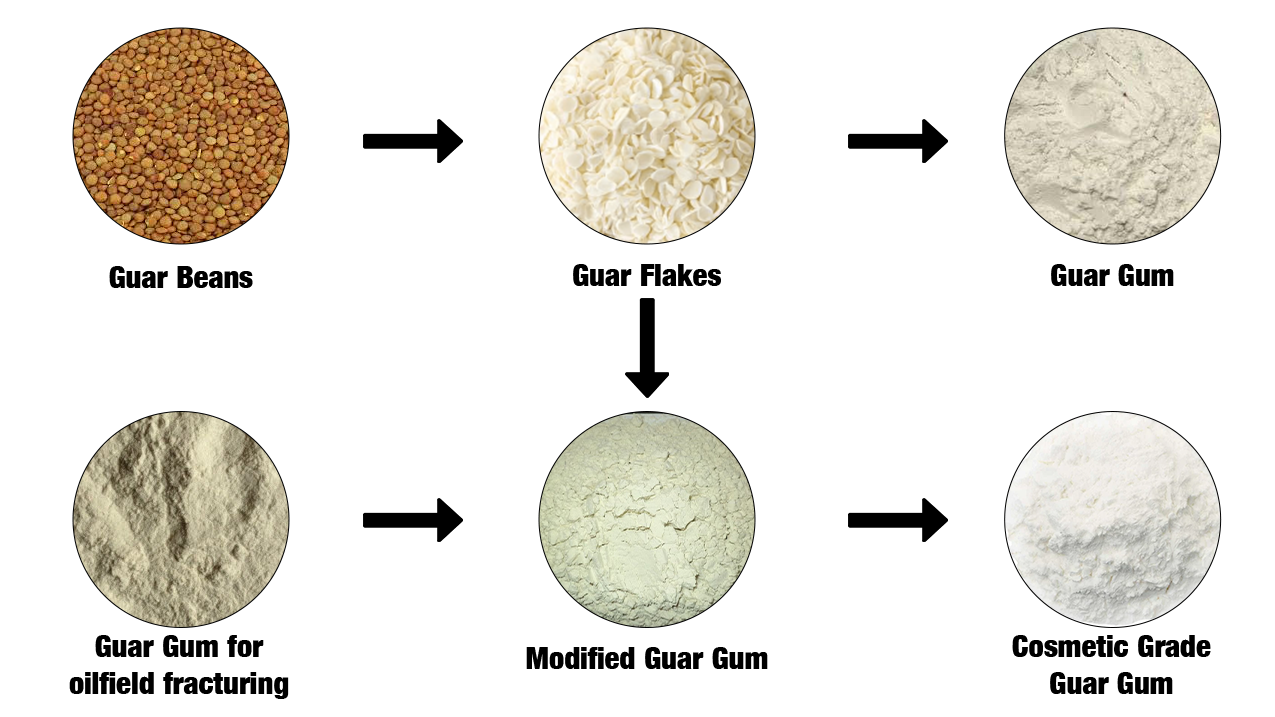 Guar processing stages from beans to flakes and powder